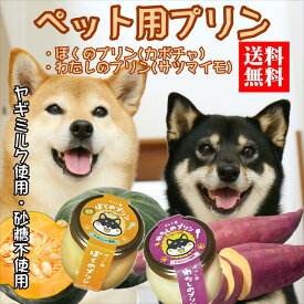 【犬用 おやつ 誕生日 ご褒美】常温 犬用プリン 6個セット カボチャ サツマイモ 砂糖不使用 ヤギミルク 無添加 国産 送料無料 賞味期限1年 犬 おやつ プレゼント ギフト ペット スイーツ