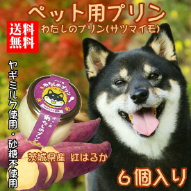 【犬用 おやつ 誕生日 ご褒美】常温 犬用プリン 6個セット サツマイモ 砂糖不使用 ヤギミルク 無添加 国産 送料無料 賞味期限1年 犬 おやつ プレゼント ギフト ペット スイーツ