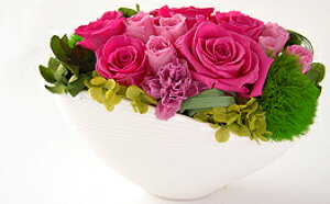 yvU[uht[ Lbg Lbg ԍ  sN IW _z E@[OiLbgj