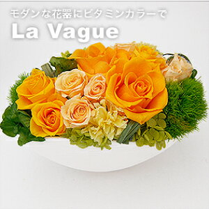 yvU[uht[ Lbg Lbg ԍ  sN IW _z E@[OiLbgj