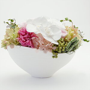 yvU[uht[ Lbg Lbg ԍށz GHizCgsNjiLbgj