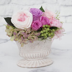 yvU[uht[ Lbg Lbg ԍ tX sN z iFAdorable Ah|uix_[sNjiLbgj