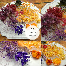 【花材たっぷりアソート M】フラワーハートボックスM（ドライ プリザーブド）【ハーバリウム ボールペン フラワーアレンジメント リース サシェ フローラルワックス キャンドル メディスンボトル アロマワックス】シルバーデイジー あじさい プリザーブドフラワー 詰め合わせ