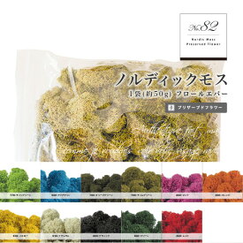 【花材 No.82】ノルディックモス（プリザーブドフラワー/フロールエバー florever）1袋約50g　FL820【ハーバリウム/フラワーアレンジメント/リース/サシェ/フローラルワックス/キャンドル/メディスンボトル/アロマワックス/建築模型に】