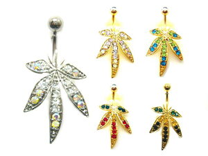 14GJtȃ}t@i {fBsAX w\sAX ւsAX w\s