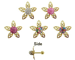 14GԂ̂悤ȃ~[{[ {fBsAX sAX sAX ЎsAX