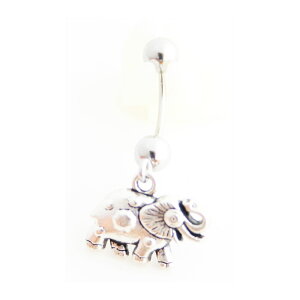 Ch̍Ղ̏ۃoii p{fBsAX sAX w\sAX