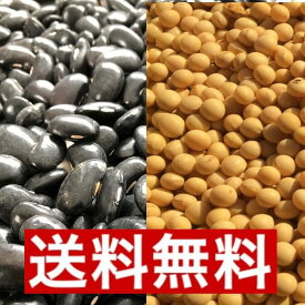 楽天市場 花豆 送料無料の通販