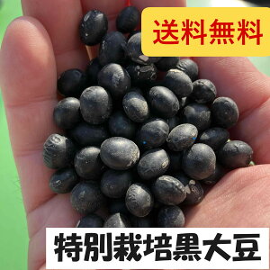 哤800gyzy[ցzߘa6NHY@kC@\@Yy@H@ۖLx@Y@ᎉ@_@@@ފ݁@傫ȓ@Y@_ƒ@@ϓ@