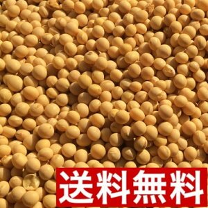 I[KjbN哤800gy[ցzyz_sgp@ߘa6NHY@kC@\@Yy@`qg݊Ȃ@_ƒ@w엿sgp@L@͔|@L@JAS@ς@J