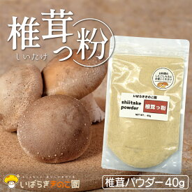 しいたけ 粉末 【純国産】 無農薬 無添加 椎茸っ粉 椎茸パウダー シイタケ粉 使いきりサイズ 40g 粉末 パウダー 旨味の調味料 グアニル酸 濃厚 高い栄養素 出汁 さっと簡単 オススメ いばらききのこ園 茨城県産