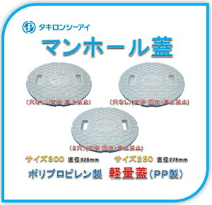 }z[ W@^L TCY300 |vsyʊWiPPjiȂj( J ԏ֎~)@