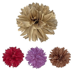  FF-166iS4FjytRpizRT[W  t[X