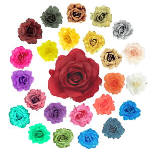 ԁ@FF-165iS25FjytRpizRT[W  t[X KN