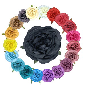 y݌Ɍzԁ@FF-127iS20FjytRpizRT[W  t[X KN