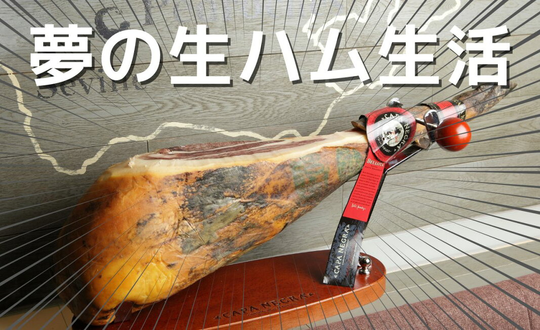 イベリコ屋 生 ハム ブロック イベリコ豚 4年熟成 レアルベジョータ 国産 鴨 生ハム 贅沢味わいセット 高級 お誕生日 プレゼント ギフト お中元 送料無料 冷凍 イベリコ豚専門店 イベリコ屋の通販・お取り寄せなら