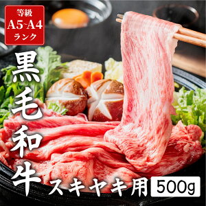 јa ₫p ؂藎Ƃ 500g  o A4 A5N ~   Ⓚ