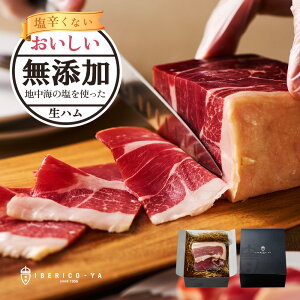 Mtg n ~j 280g Mtg lC  A_VA|[N Y ubN ܂  Hi Ε  ①