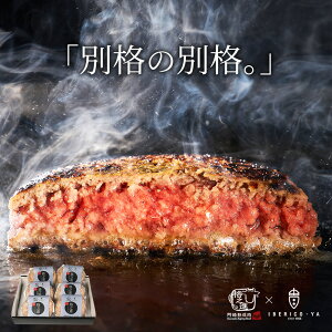 iVi × CxR CxR  no[O 120g×6 v720g Mtg ґ Y no[O     ؓ Hi Hו Ⓚ