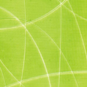 ytX@`R[gp@]ʃV[gz@wLECx40cm×25cm@25