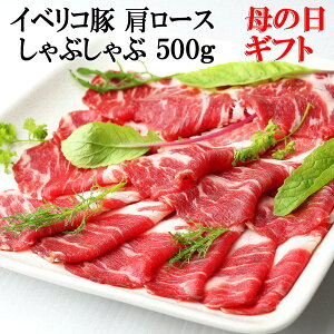 ̓Mtgv[g CxR [X Ԃԓ 500g xW[^  O LO   J[ht e ̓O av[g aO ̓