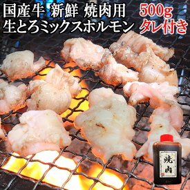 新鮮 国産牛 ホルモン 焼肉 500g 特製焼肉たれ付き 送料無料 焼き肉 ホルモンミックス ミックスホルモン セット ホルモン焼き ほるもん ホルモンスタミナ 焼肉セット 牛肉 肉 ギフト 黒毛和牛 国産牛肉 食品 人気 しまちょう 高級 人気 ホルモンシマチョウ 牛ホルモン あす楽