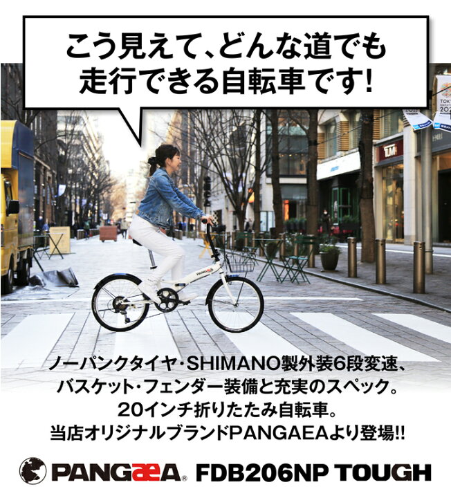 千葉県 折りたたみ自転車 ノーパンクタイヤ PANGAEA(パンゲア)