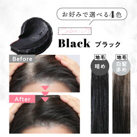 クリームシャンプー Mee color（350g）2本組 白髪染めシャンプー クリームシャンプー 白髪染め オールインワン レディース オーガニック シャンプー トリートメント アメプラ 母の日