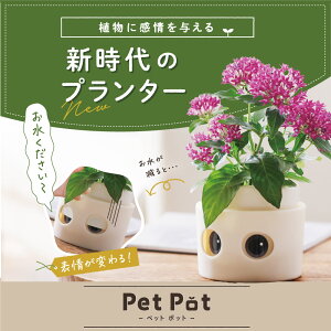 Pet Poti ybg|bg j v^[ ybg A 킢  ƒ؉ | K[fjO ϗtA k͔| Aؔ   CeA  킢 Mtg Av
