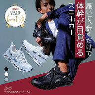 【総合1位獲得】 バランスコアスニーカー2.5 メンズ BEAXIS ( ビーアクシス ) バランスコアスニーカー2 …