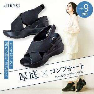 q[AbvT_ orMORE IAA T_  q[ V[NbgT_ V[NbgV[Y fB[X ₷ ɂ ɂ y  ubN g  