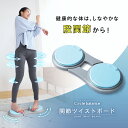 関節ツイストボード Circle balance ( サークルバランス ) ツイストボード 足腰 鍛える 器具 マシン 体幹 股関節 トレーニング 器具 健康器具 運動器具 ひねり グッズ スライドディスク スピンボード