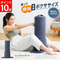 シェイプディスク ジムテリアの通販