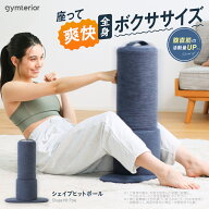 シェイプヒットポール gymterior ( ジムテリア ) ボクササイズ サンドバッグ サンドバック 自立 自立式 …