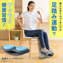 足踏みグッドステッパー Circle balance サークルバランス ツイスト ステッパー 座ったまま ダイエット トレーニング …