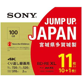 ソニー(SONY) 日本製 ブルーレイディスク BD-RE XL 100GB (1枚あたり地デジ約12時間) 繰り返し録画用 11枚入り 2倍速ダビング対応 ケース付属 11BNE3VZPS2