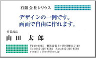 【平日14時受付当日発送】両面 名刺作成 カラー印刷 自分で自由にデザインできる名刺印刷 名刺 作成【カ…