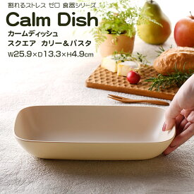 【名入れ可、ロゴ入れ可】 Calm Dish カームディッシュ　スクエア カリー＆パスタ 食器 ランチプレート 皿 プラスチック 電子レンジ可 食洗機可 TAKENAKA　竹中