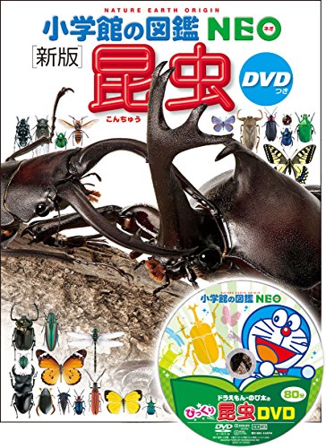 日本 DVD付 新版 昆虫 NEO 未使用 小学館の図鑑