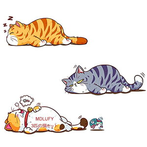 MDLUFY ԗp XebJ[ L 킢lR̃CXg hdl   ǎ ͂  JbeBOV[gKX ėp ԃhA  EH[XebJ[ ǃV[  V[ (3C