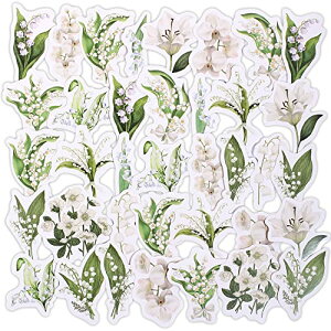 R[W f V[ t[NV[ XebJ[ e 킢  V[ fގ (3)