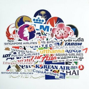 qЃGAC@XebJ[50Zbg@X[cP[Xp\RiPad [sAi]