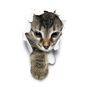 prendre J[XebJ[  L 킢  Aj} hXAbv  oCN J[pi XebJ[ iяoLj PR-PETST-TOBI