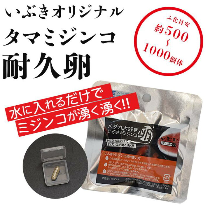 楽天市場 メダカ大好きいぶきのミジンコ卵 タマミジンコ耐久卵 メダカ エサ 餌 販売 生き餌 生体 指宿メダカとアクアリウム いぶき