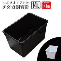 楽天市場】メダカ トロ舟（ペット・ペットグッズ）の通販
