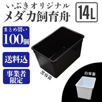 楽天市場】メダカ トロ舟の通販