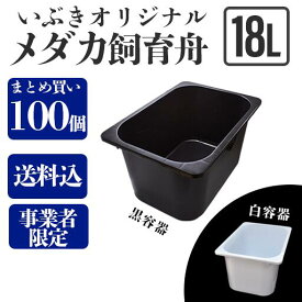 楽天市場 プラスチック 水槽 大型の通販