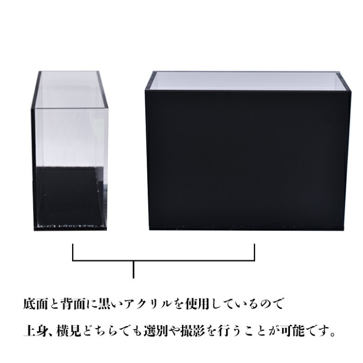 最新 いぶきのオーバーフローパイプ キャップセット 100個セット 水槽 トロ舟 トロファスト 飼育容器 屋外 鉢 大型 プラスチック Shipsctc Org