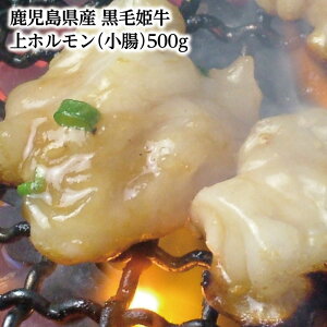 A4oYyY@ѕP@zij500gzMeatyou јa a  ē z wh Y A4 ~ 蕨  Mtg jp v[g  Mtg