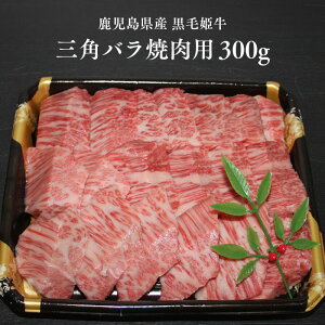 yY ѕP Opoēp300gzјa  A4 oY јa  a  ē wh Y A4N ~ 蕨  Mtg jp v[g Yi 